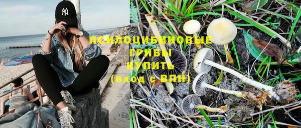 прущая мука Горняк