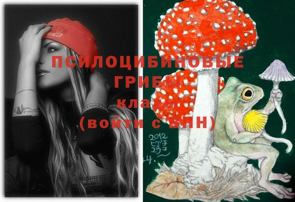 прущая мука Вяземский