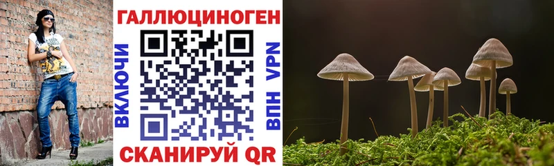 Галлюциногенные грибы MAGIC MUSHROOMS  Купить где  Белогорск 